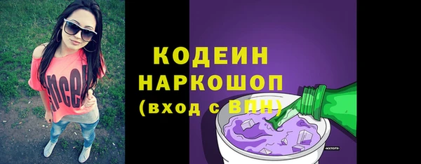 индика Балахна