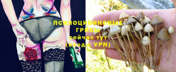 стаф Белокуриха