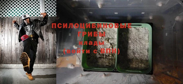 индика Балахна